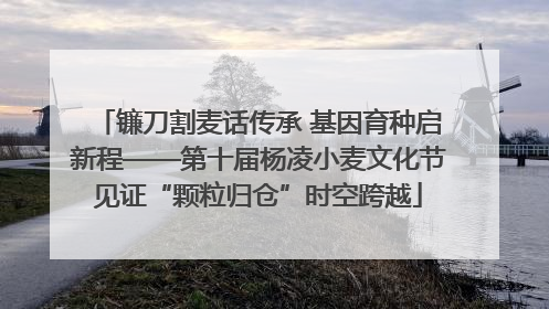镰刀割麦话传承 基因育种启新程——第十届杨凌小麦文化节见证“颗粒归仓”时空跨越